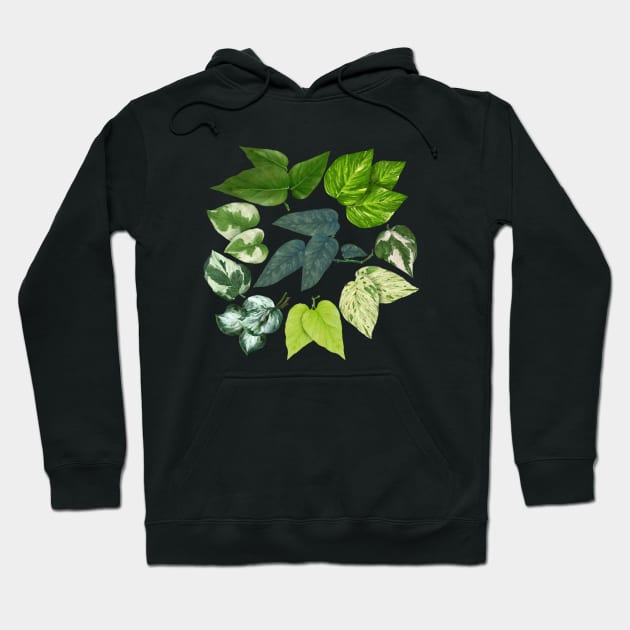 Pothos Leaves Art Hoodie by Khotekmei